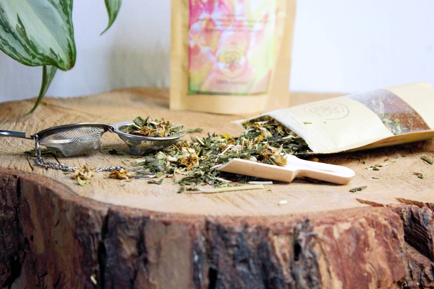 TUMMY KRUIDENTHEE MET MORINGA EN GINSENG