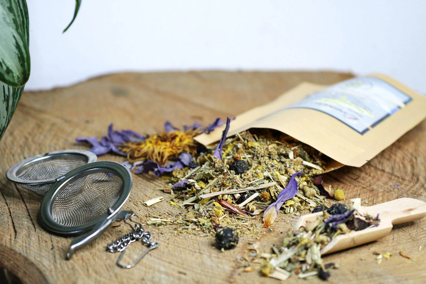 Dream Well herbal tea for lucid dreams and astral projection