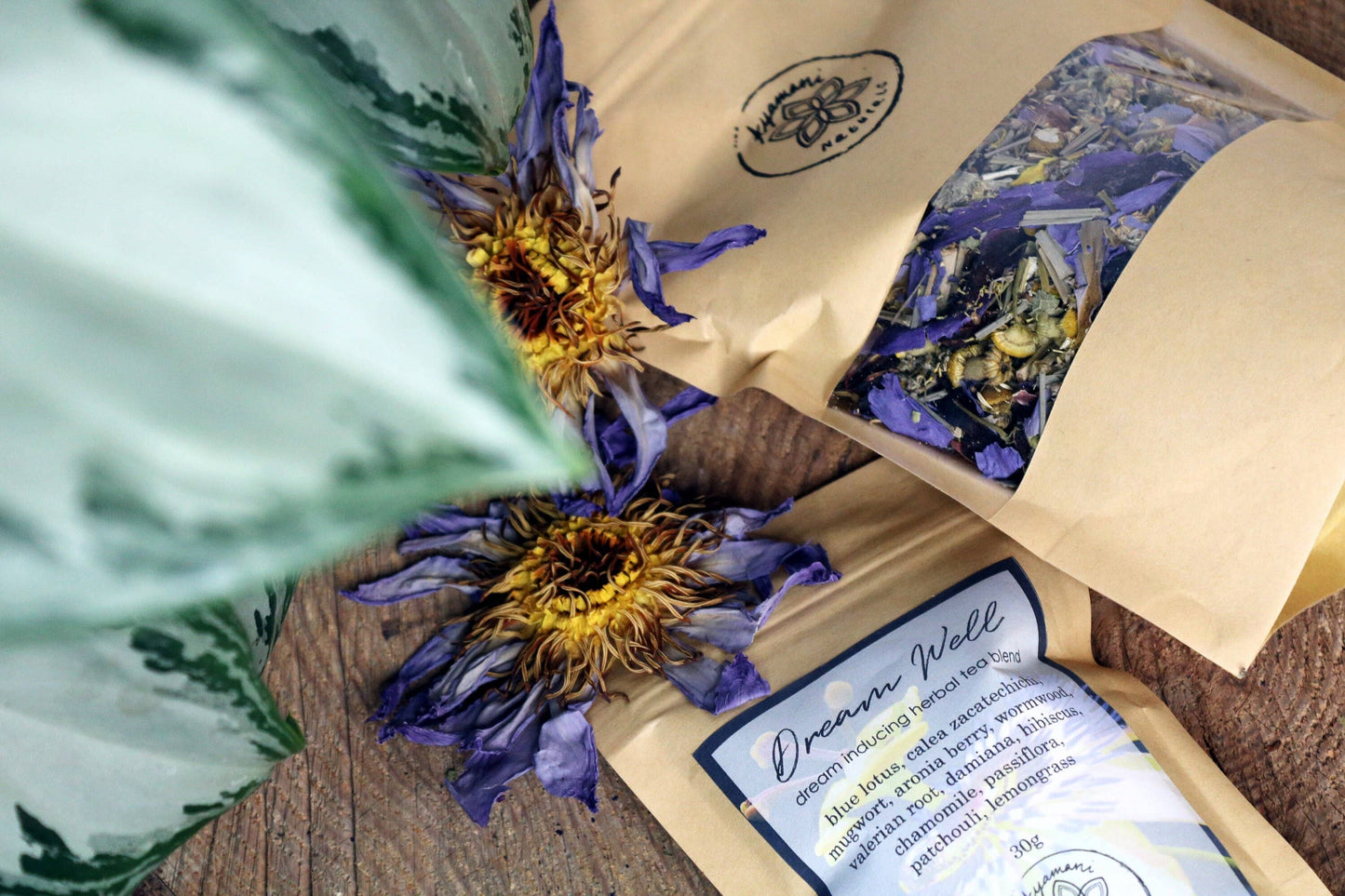 Dream Well herbal tea for lucid dreams and astral projection
