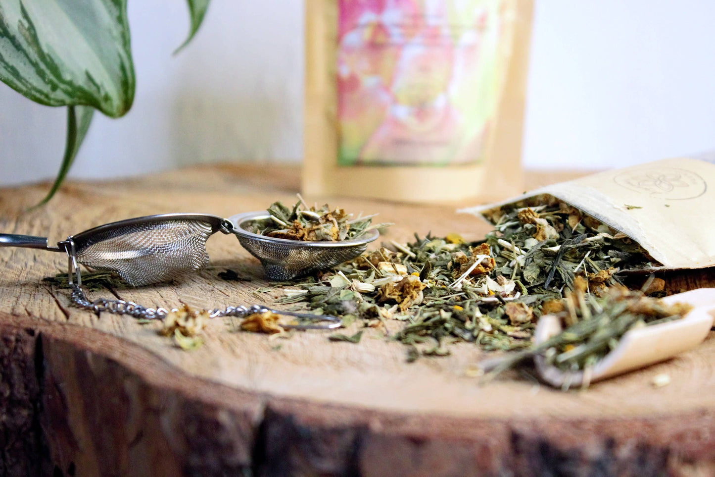 TUMMY KRUIDENTHEE MET MORINGA EN GINSENG
