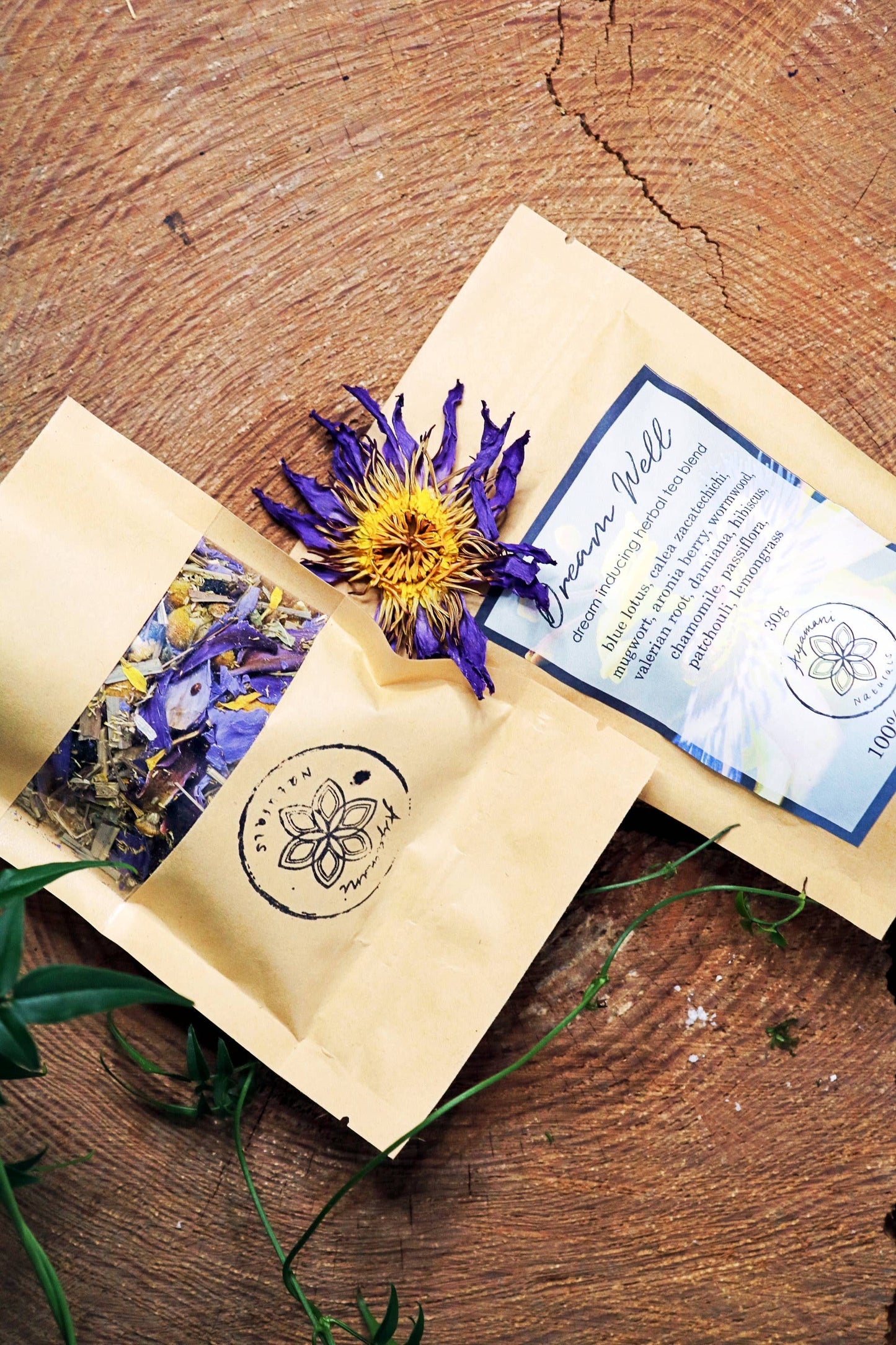 Dream Well herbal tea for lucid dreams and astral projection