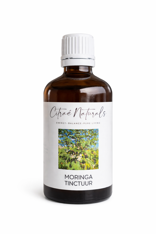 Moringa-Tinktur 100 ml