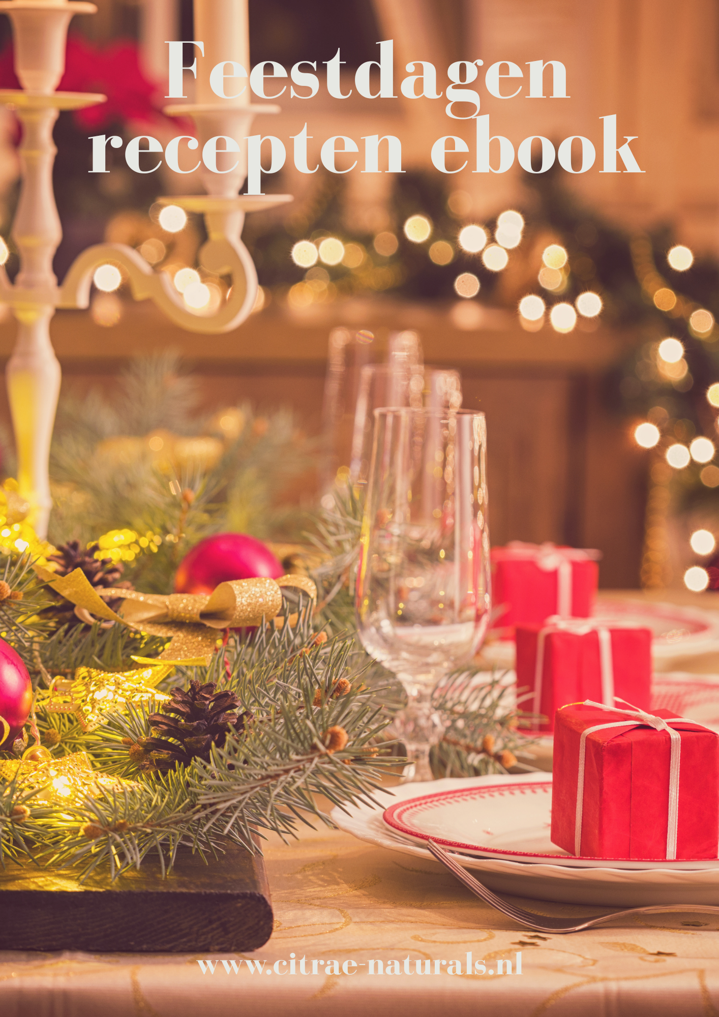 FEESTDAGEN RECEPTEN EBOOK