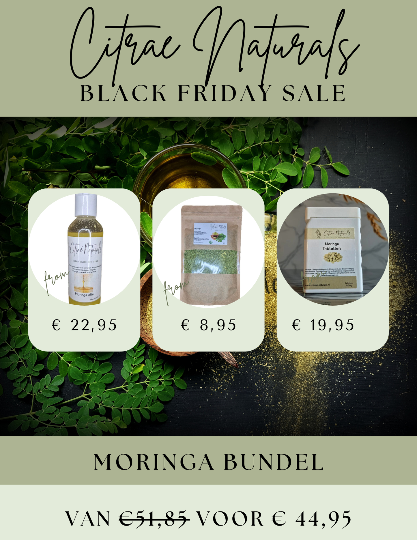 BLACK FRIDAY MORINGA BUNDEL