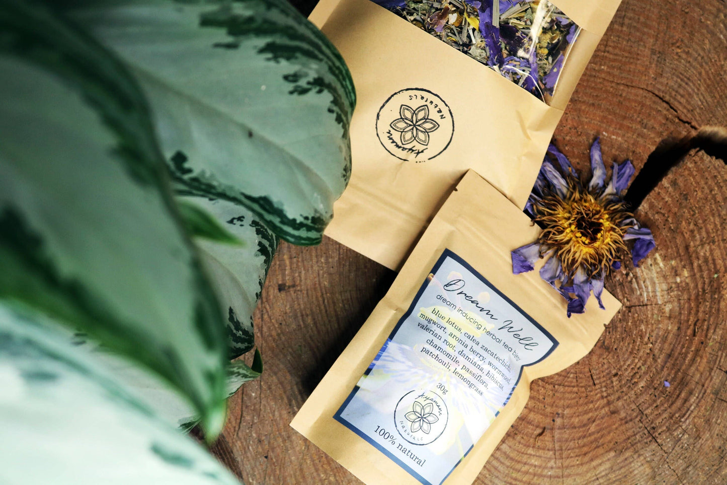 Dream Well herbal tea for lucid dreams and astral projection